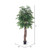  Vickerman TEX0660-07 6ft Artificial Ming Aralia Executive Tree in Pot 