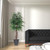  Vickerman TEX0660-RG 6ft Artificial Ming Aralia Executive Tree in Gray Pot 