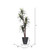  Vickerman TEX1160-RG 6ft Artificial Marginata Executive Tree in Gray Pot 