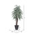  Vickerman TEX1360-RG 6ft Artificial Variegated Smilax Tree in Pot 