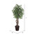  Vickerman TEX1860 6ft Artificial Japanese Maple Tree in Pot 