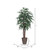  Vickerman TEX2860-RB 6ft Artificial Mango Tree in Brown Pot 