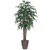  Vickerman TEX2860-RB 6ft Artificial Mango Tree in Brown Pot 