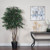  Vickerman TEX4260 6ft Mini Artificial Ficus Tree in Pot 
