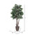  Vickerman TEX4260-RB 6ft Mini Artificial Ficus Tree in Pot 