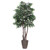  Vickerman TEX4260-RB 6ft Mini Artificial Ficus Tree in Pot 