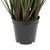  Vickerman TN170336 3ft Grass with 6 Cattails in Pot 