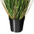  Vickerman TN170636 3ft Green Curled Grass in Pot 
