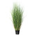  Vickerman TN170636 3ft Green Curled Grass in Pot 