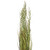  Vickerman TN171036 3ft Green and Brown Grass in Pot 