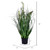  Vickerman TN171224 2ft Green Sheep's Grass in Pot 