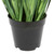  Vickerman TN171248 4ft Green Sheep's Grass in Pot 