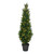  Vickerman TP170648LED 4ft Artificial Cedar Tree with LED Lights 