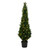  Vickerman TP170660LED 5ft Artificial Cedar Tree with LED Lights 