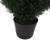  Vickerman TP170672 6ft Artificial Cedar Tree in Pot 
