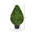  Vickerman TP171524 2ft Outdoor Boxwood Teardrop Topiary Bush in Pot 