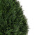  Vickerman TP171624 2ft Outdoor Cedar Teardrop Teardrop Topiary Bush In Pot 