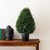 Vickerman TP171624 2ft Outdoor Cedar Teardrop Teardrop Topiary Bush In Pot 