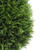  Vickerman TP171624 2ft Outdoor Cedar Teardrop Teardrop Topiary Bush In Pot 