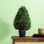  Vickerman TP171624 2ft Outdoor Cedar Teardrop Teardrop Topiary Bush In Pot 