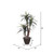  Vickerman TXX1140-RB 4ft Artificial Marginata Bush  in Pot 