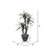  Vickerman TXX1140-RG 4ft Artificial Marginata Bush in Gray Pot 