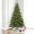 Vickerman A124467LED 6.5' X 47" King Spruce LED 400MU
