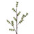 Vickerman X220670 7' Green Mini Pine Twig Tree LED 150WW