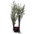 Vickerman X220670 7' Green Mini Pine Twig Tree LED 150WW 