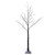 Vickerman X220860 - 6 ft Twig Tree Prelit Warm White LED Christmas Tree