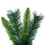 Vickerman A877120 24" Imperial Pine Tree 72 tips