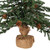 Vickerman B803921 - 2 ft Carmel Pine Unlit Christmas Tree