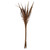 Vickerman H2BAH000-2 36" Natural Bahia Spears 18pc Bunch 