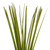  Vickerman H2SAG100 36-40" Natural Dried Basil Sable Grass 