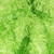 Vickerman K162707 - 36" Lime Fir Teardrop Wreath