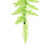 Vickerman K162707 - 36" Lime Fir Teardrop Wreath
