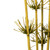 Vickerman H2STR100 36-40" Basil Star Bamboo Reed 7 Stem Bu 