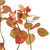 Vickerman TB170302 4' Cotinus Coggygria Branch-Red 