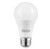 Halco 85110 LED A19 Bulb Gen 5
