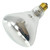 Halco 404066 BR40 Covershield Incandescent