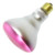 Halco 404031 BR30 Pink Bulged Incandescent Bulb