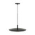 Artcraft Lighting Artcraft AC7460BK Camila Pendant Light 