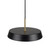Artcraft Lighting Artcraft AC6901BK Lexi LED Pendant 