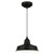 Westinghouse 6131800 - 1-Light Black Barn Pendant Light - Academy - 12-1/4 in Wide