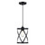 Westinghouse 6132500 - 1-Light Matte Black Caged Mini Pendant Light - Isadora - 7-1/2 in Wide