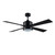 Trans Globe F-1031 BK Arden 4-Blade Modern Ceiling Fan 