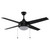 Trans Globe F-1024 BK Cappleman 2-Light, 4-Blade Transitional Ceiling Fan 