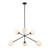 Trans Globe 11616 BK Modern 6-Light Haskell Pendant 