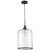 Trans Globe PND-2185 BK Single Light Clear Glass Mini Pendant 