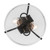 Trans Globe 80527-2 BK Mod Pod 2 - Light Glass Flush Mount 